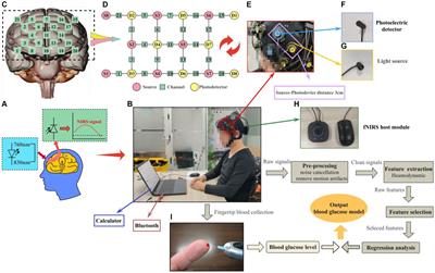 Exploratory insights into prefrontal cortex activity in continuous glucose monitoring: findings from a portable wearable functional near-infrared spectroscopy system